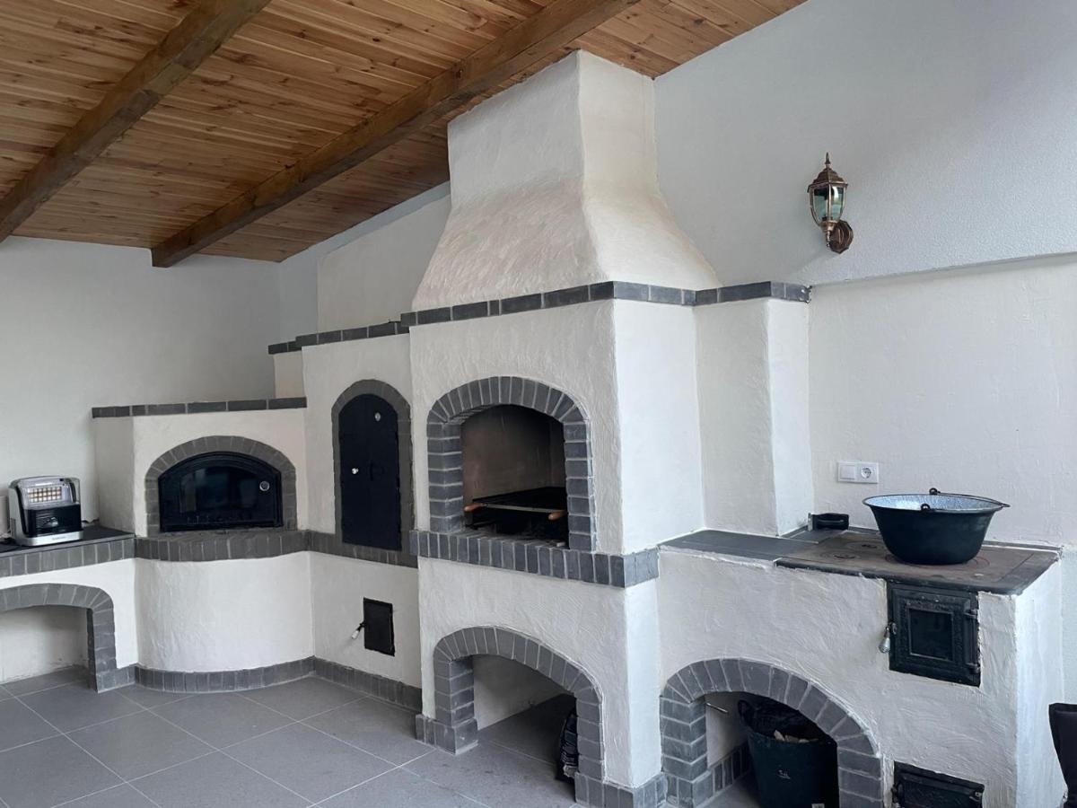 Sighetu Marmaţiei Casa De Langa Padure酒店 外观 照片