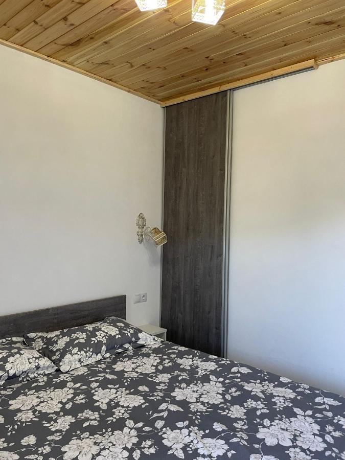 Sighetu Marmaţiei Casa De Langa Padure酒店 外观 照片